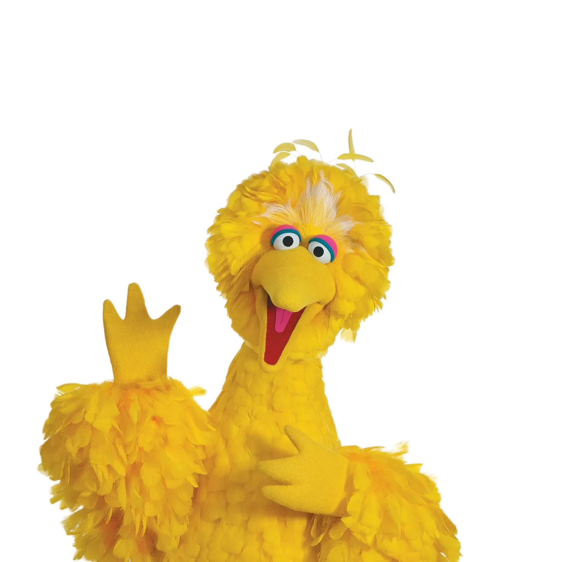 Big Bird with rolled planning maps