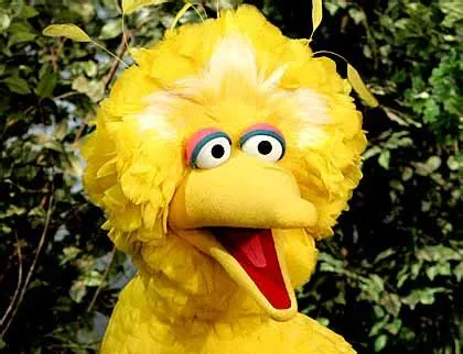 Portrait of Big Bird