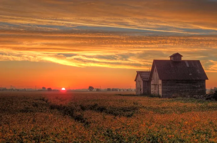 Community members collaborating on digital engagement initiatives