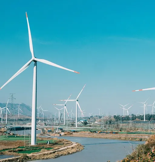 Description of the hero image