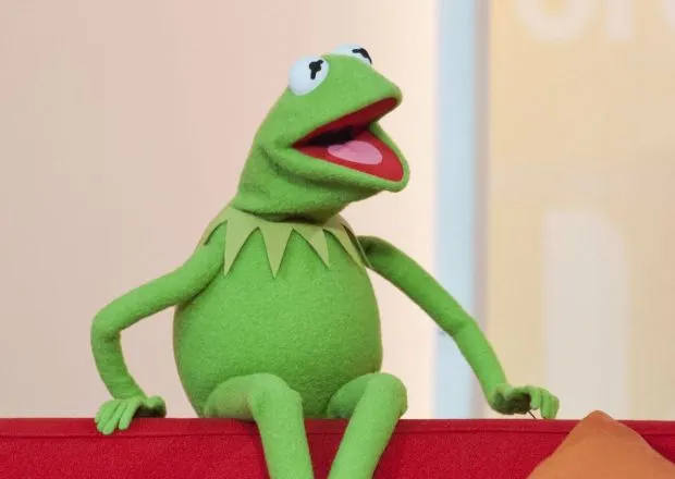 Portrait of Kermit The Frog