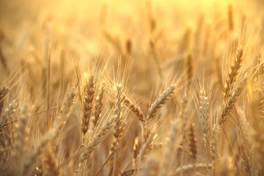 Data visualization and analytics dashboard