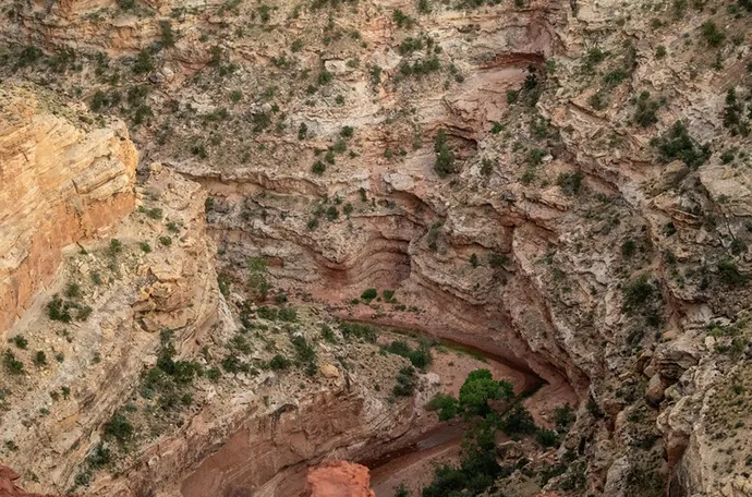 Description of the image