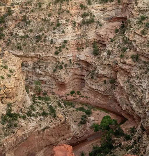 Description of the hero image